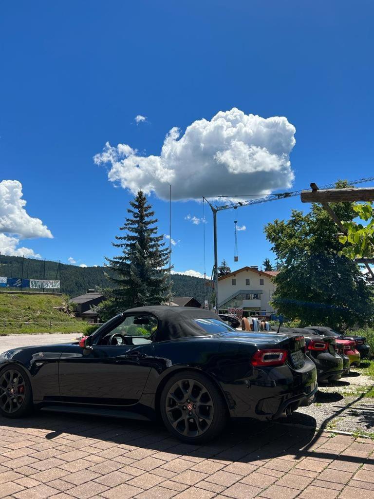 Albero Verde Verano Exteriör bild